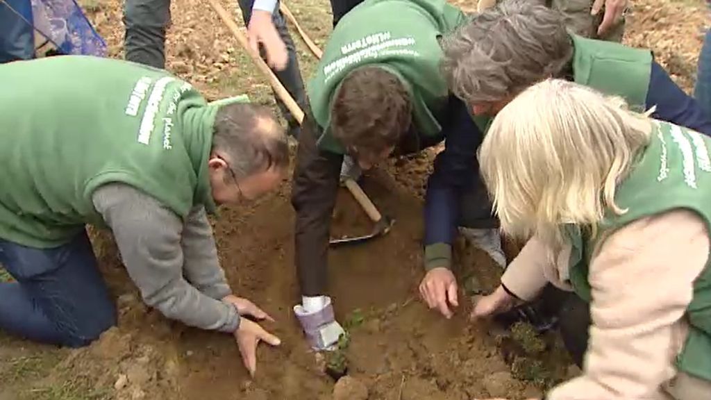 Dirigentes de la Cumbre del Clima plantan 1.000 árboles en Las Rozas para combatir la crisis climática