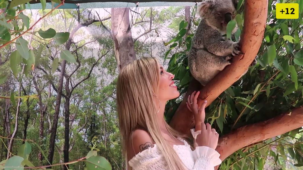 Room tour, koalas y ligues: Oriana continúa su aventura en Australia (2/2)
