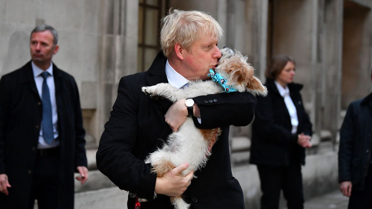 Dilyn, el perro abandonado por el que Boris Johnson ha cambiado a su novia