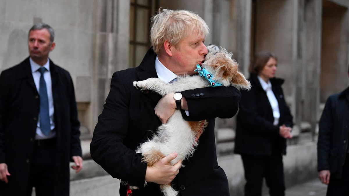 Dilyn, el perro abandonado por el que Boris Johnson ha cambiado a su novia Dilyn, el perro abandonado por el que Boris Johnson ha cambiado a su novia
