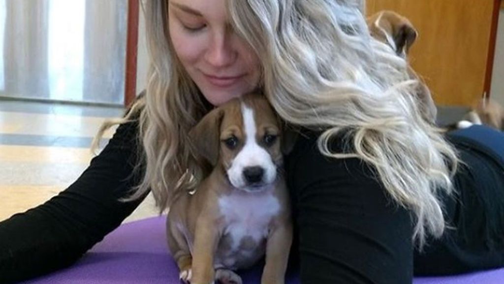 Pilates con perritos nueva tecnica para hacer mas eficaz entrenamientos