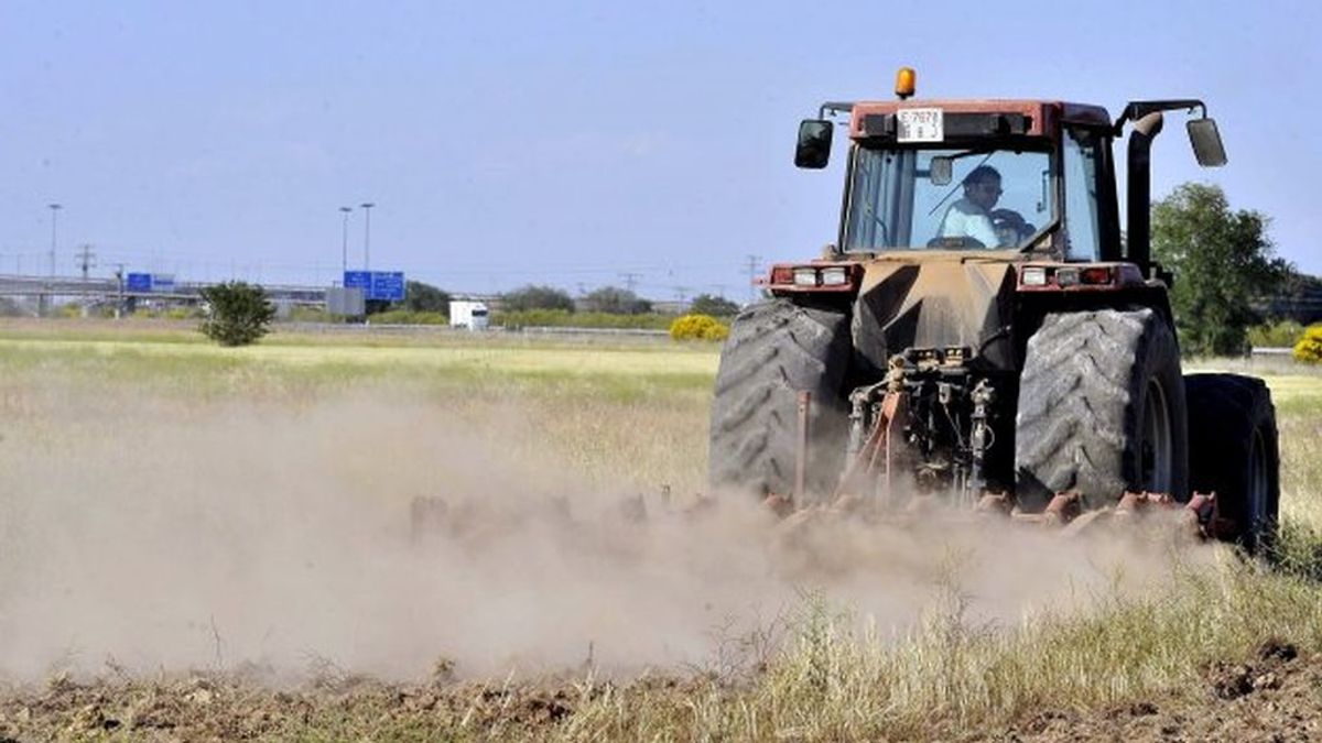 EEUU podría elevar al 100% los aranceles a los productos agrícolas españoles