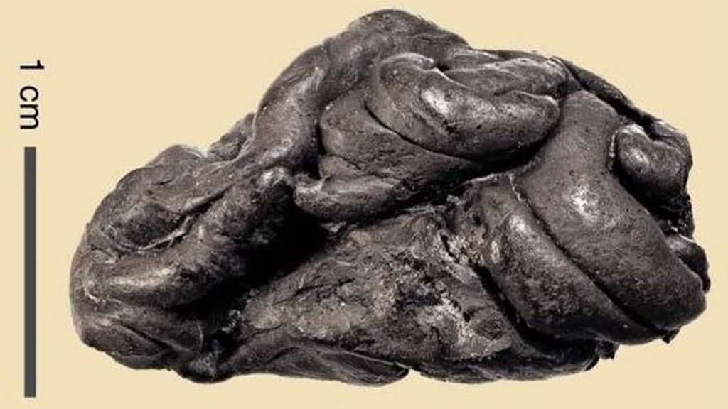 Un chicle  de la prehistoria revela el ADN de una mujer