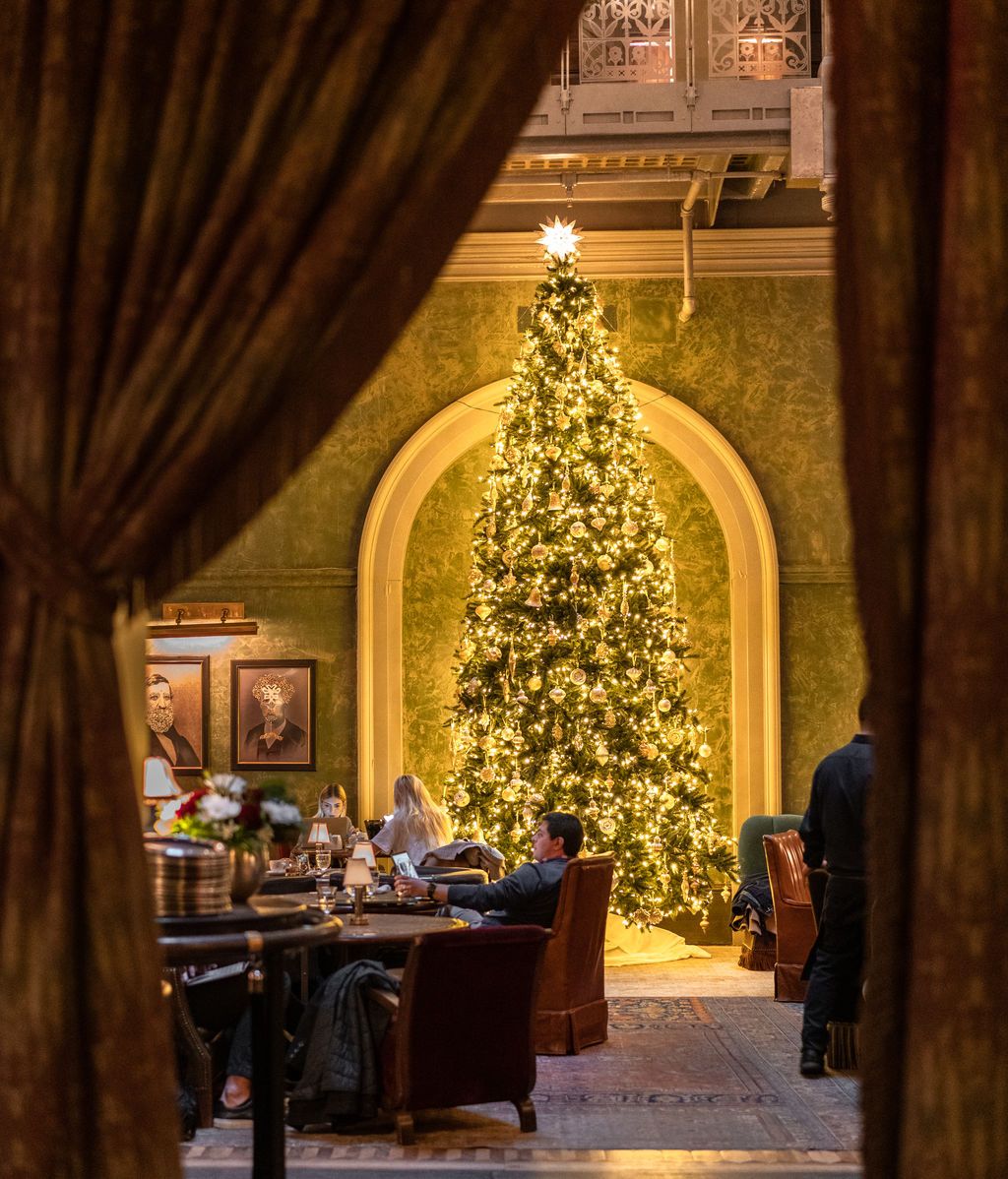 Arbol del Hotel The beekman