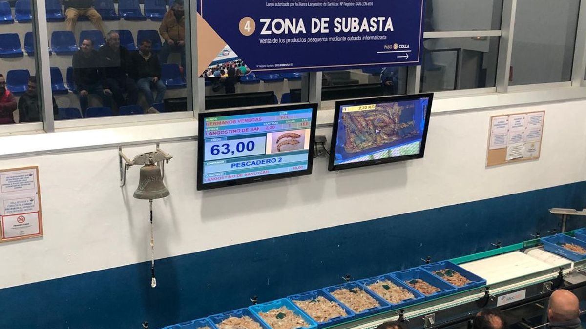 "Nuestras gambas tienen todas las garantías": Los pescadores de Cádiz indignados por la advertencia de Sanidad de no chupar la cabeza del marisco "Nuestras gambas tienen todas las garantías": Los pescadores de Cádiz indignados por la advertencia de Sanidad de no chupar la cabeza del marisco