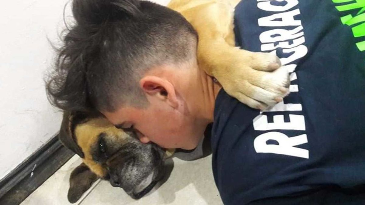Una perra muere de terror abrazada a su dueño
