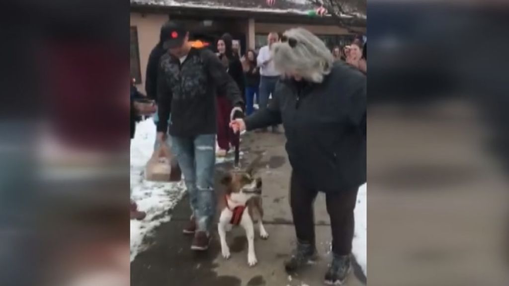 Encuentra una familia después de pasar 500 días en un refugio de animales en Nueva York