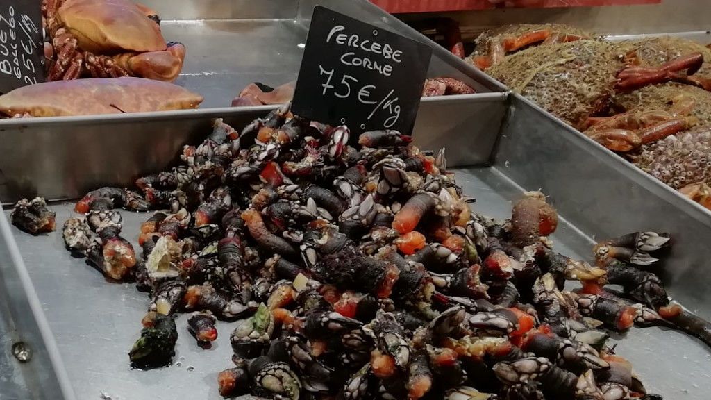 Así es el peligroso y arriesgado día a día de los percebeiros
