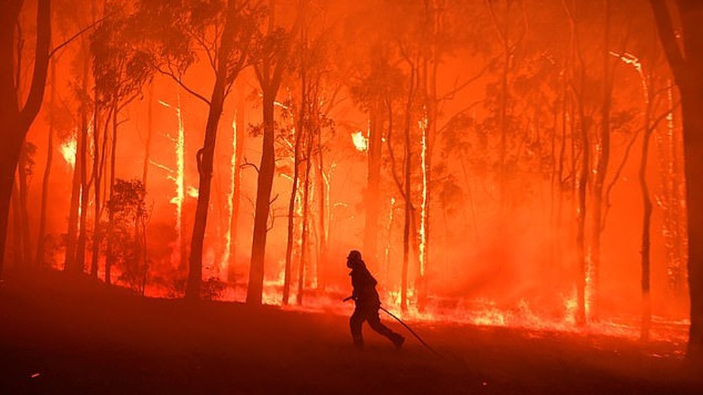 Los conductores que arrojen colillas en Australia perderán 10 puntos y una multa de 11.000 dólares
