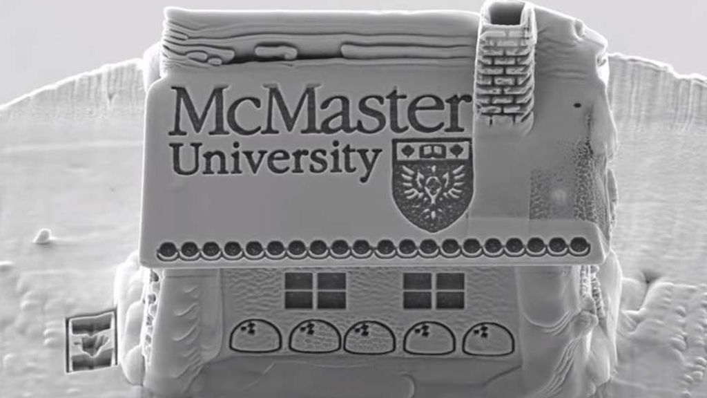 casita microscópica
