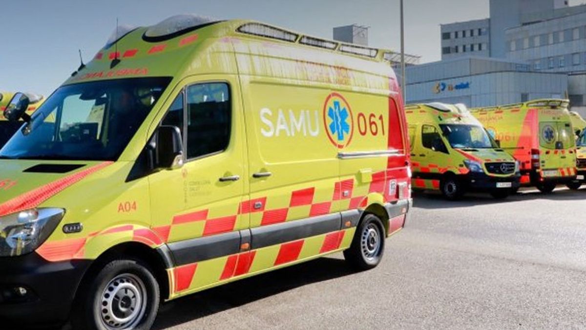 Un niño de cuatro años, herido por las mordeduras de un perro en Mallorca