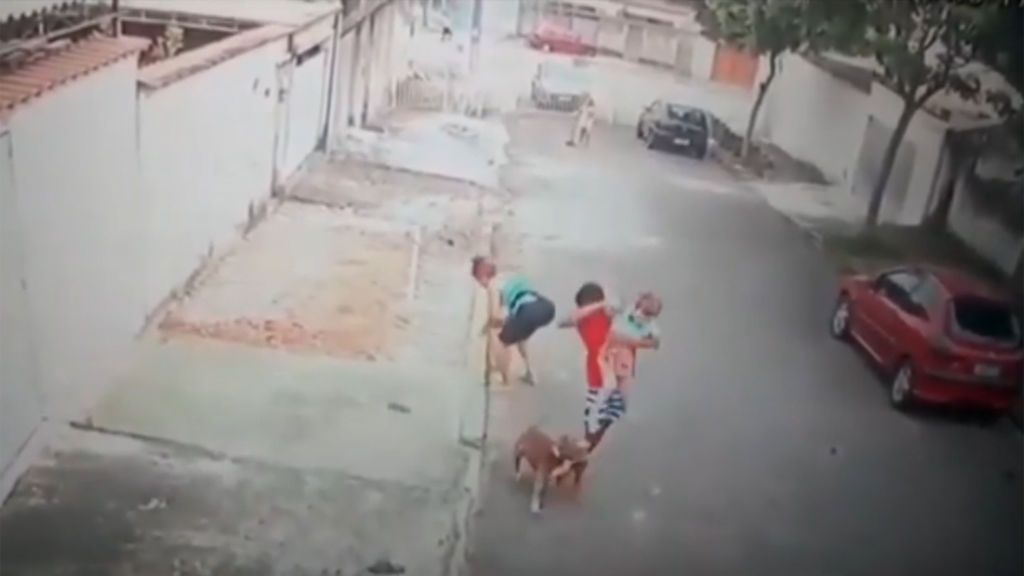 Salva a un niño del ataque de un pitbull y se refugian sobre un coche hasta recibir auxilio