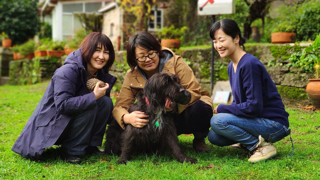 La nueva vida de “Michi”: dos peregrinas adoptan a un perro abandonado en el Camino de Santiago y se lo llevan a Japón La nueva vida de “Michi”: dos peregrinas adoptan a un perro abandonado en el Camino de Santiago y se lo llevan a Japón