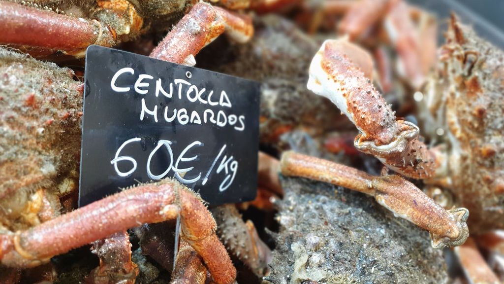 Las centollas han triplicado su valor en las dos últimas semanas