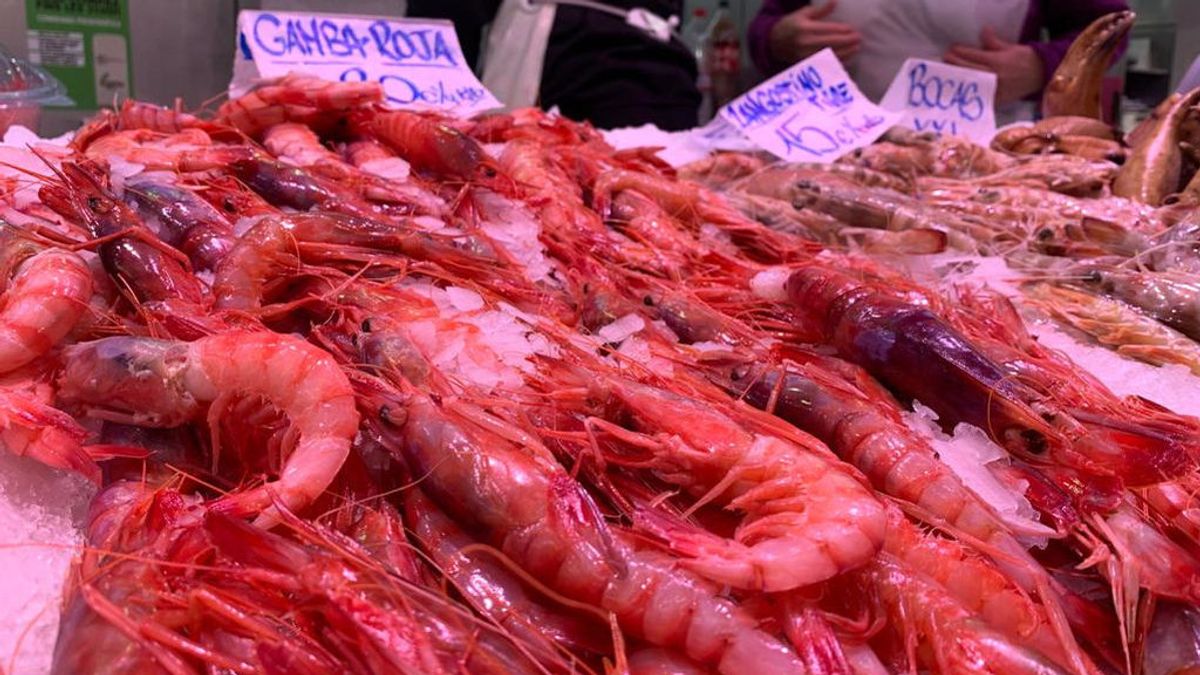 La gamba roja de Denia alcanza precios anteriores a la crisis La gamba roja de Denia alcanza precios anteriores a la crisis