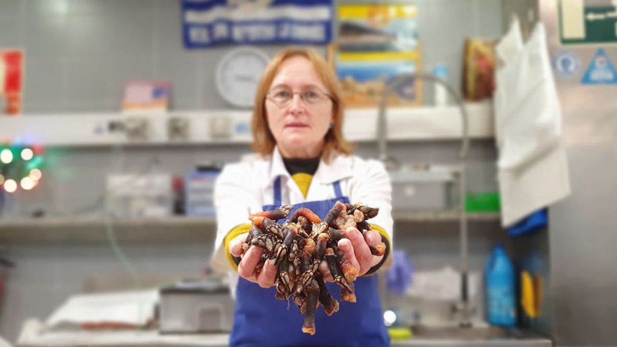 Percebes a 350 euros y centollas a 60: los desorbitados precios del marisco en Nochebuena Percebes a 350 euros y centollas a 60: los desorbitados precios del marisco en Nochebuena