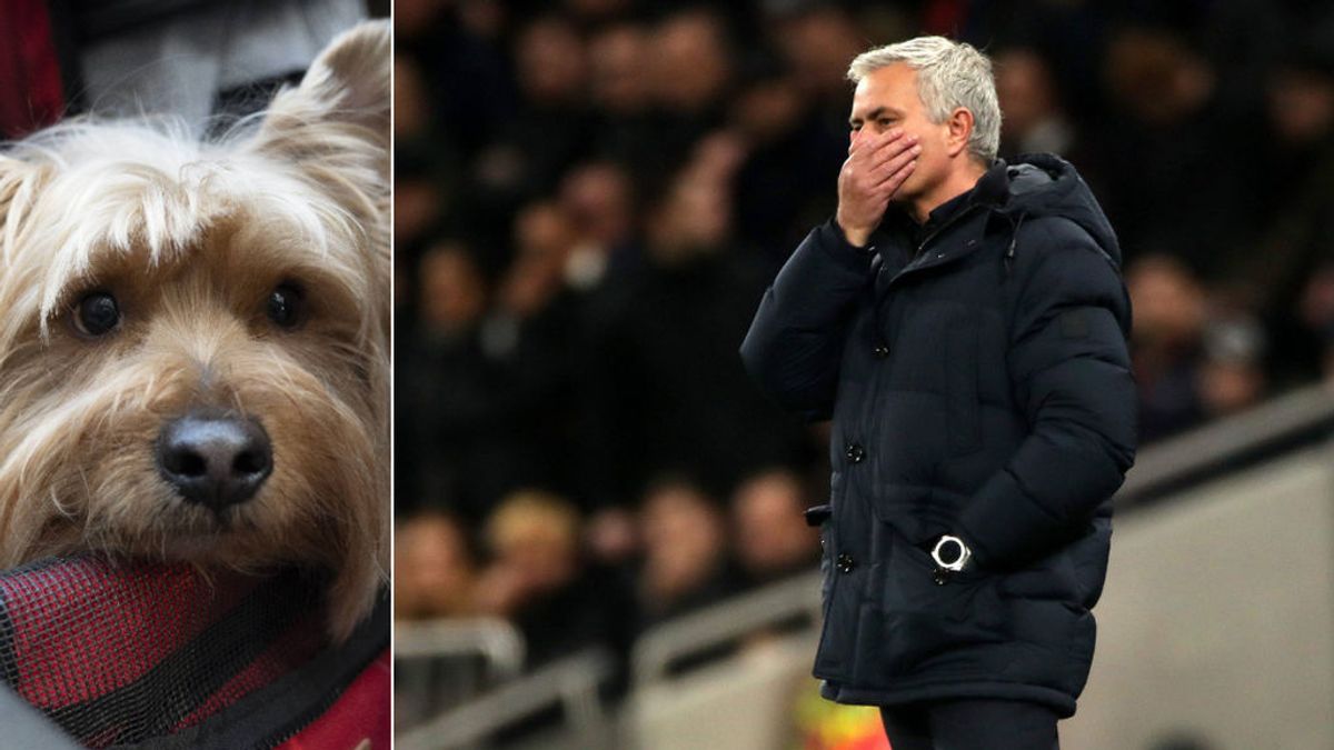 Mourinho: “Mis navidades han sido muy tristes porque mi perro murió y era parte de mi familia”