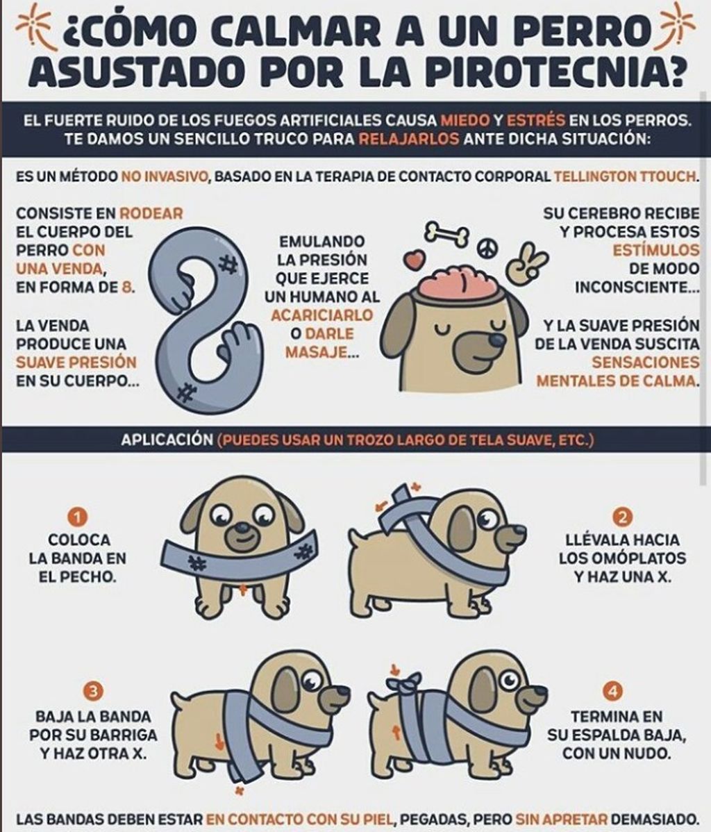 perros