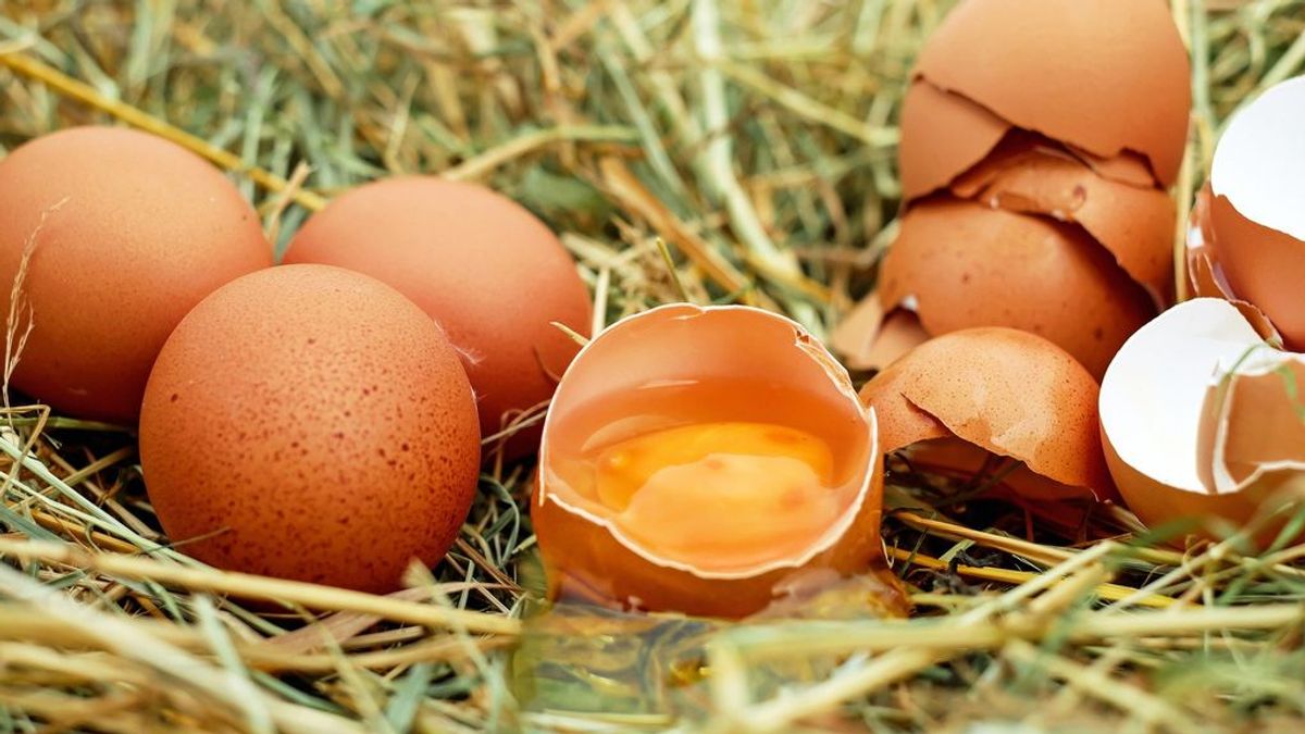 Añadir claras de huevo a tu dieta puede aumentar la fertilidad masculina según un estudio