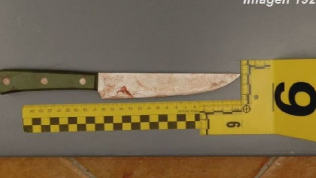 Caso Almonte: la acusación, a la caza del arma homicida del doble crimen Caso Almonte: la acusación, a la caza del arma homicida del doble crimen