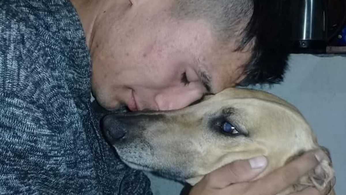 El desesperado acto de un joven por encontrar a su perro robado: ofrece su coche a cambio de encontrarlo