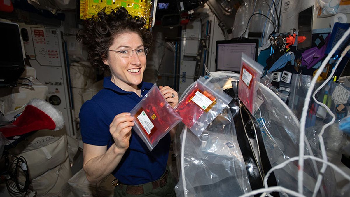 La astronauta Christina Koch se convierte en la mujer que más tiempo ha estado en el espacio La astronauta Christina Koch se convierte en la mujer que más tiempo ha estado en el espacio