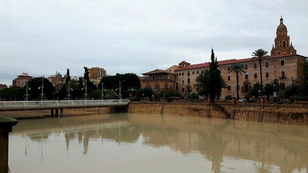 Detenidos siete jóvenes en Murcia por agredir, robar y tirar al río Segura a un discapacitado Detenidos siete jóvenes en Murcia por agredir, robar y tirar al río Segura a un discapacitado