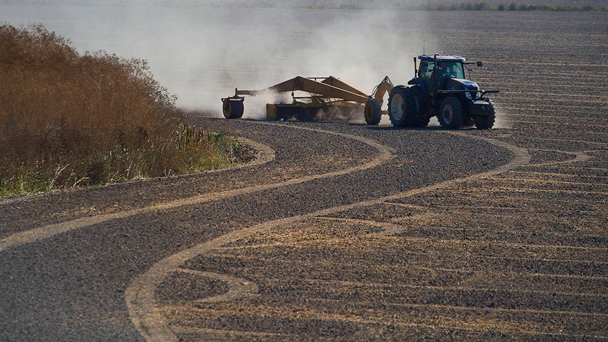 Muere un hombre en Córdoba al caerle encima un tractor Muere un hombre en Córdoba al caerle encima un tractor