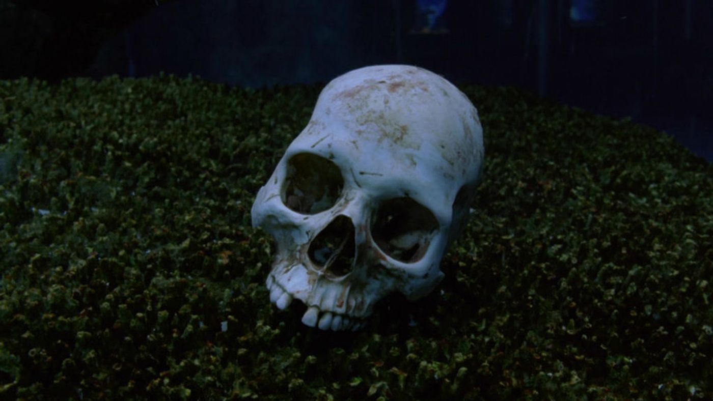 bones102