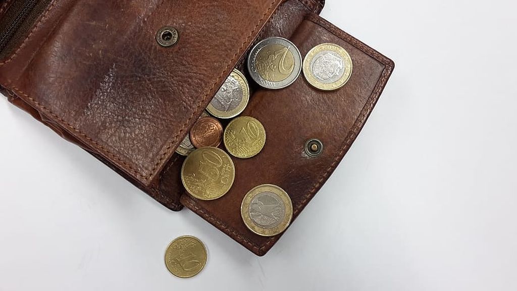 purse-coins-money-euro