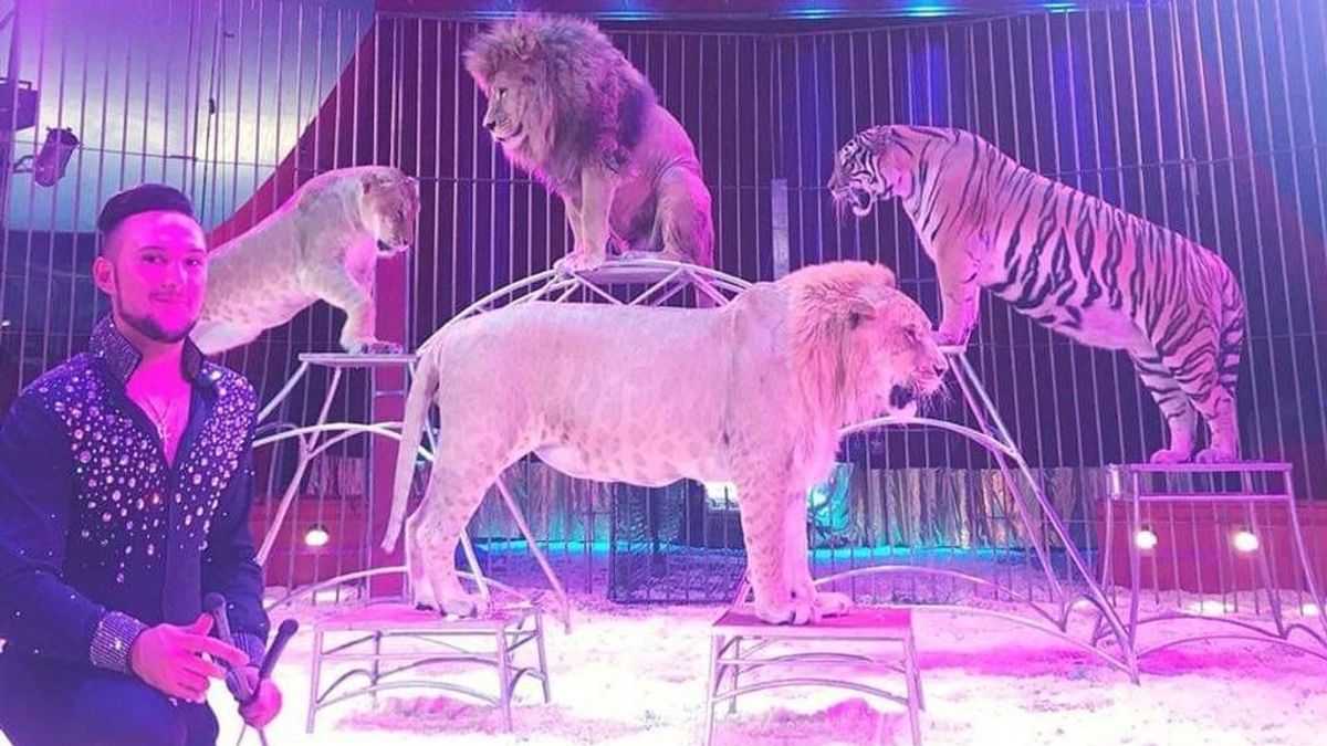 En Madrid no habrá circos con animales salvajes desde abril En Madrid no habrá circos con animales salvajes desde abril