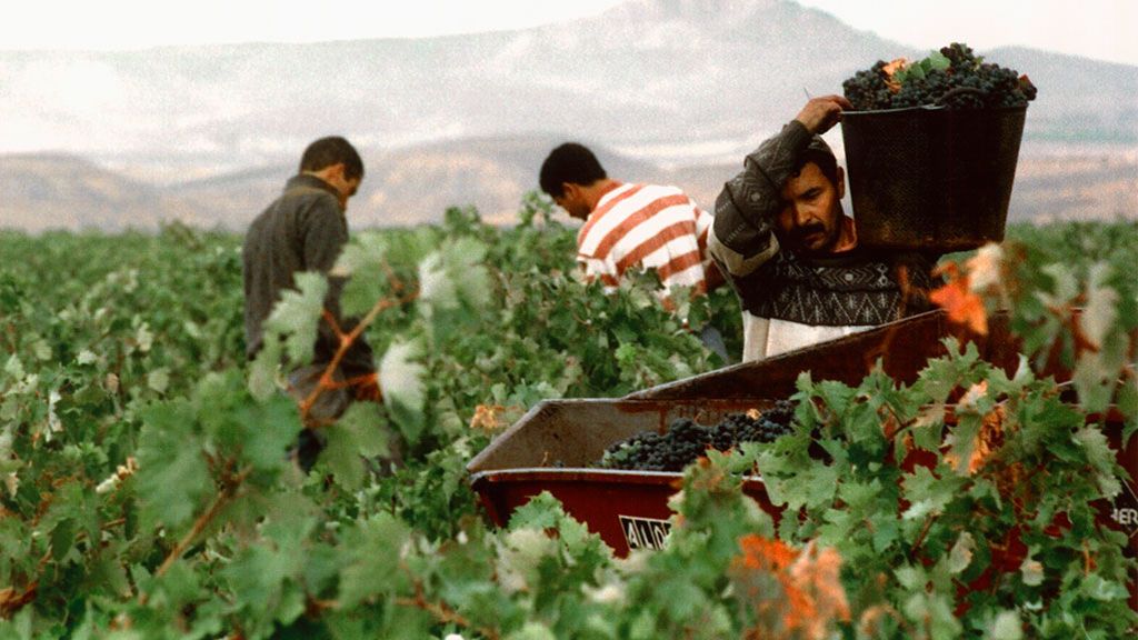 Filipinos trabajando en Soria: la creciente oferta para extranjeros en la España vaciada Filipinos trabajando en Soria: la creciente oferta para extranjeros en la España vaciada