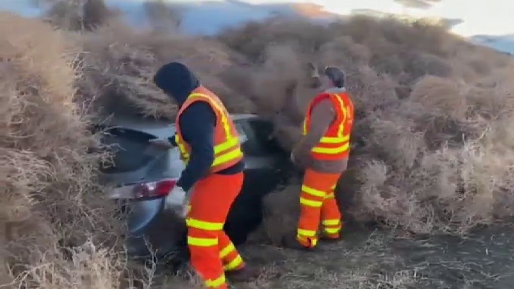 Miles de plantas rodadoras sepultan varios coches en una autopista de EEUU