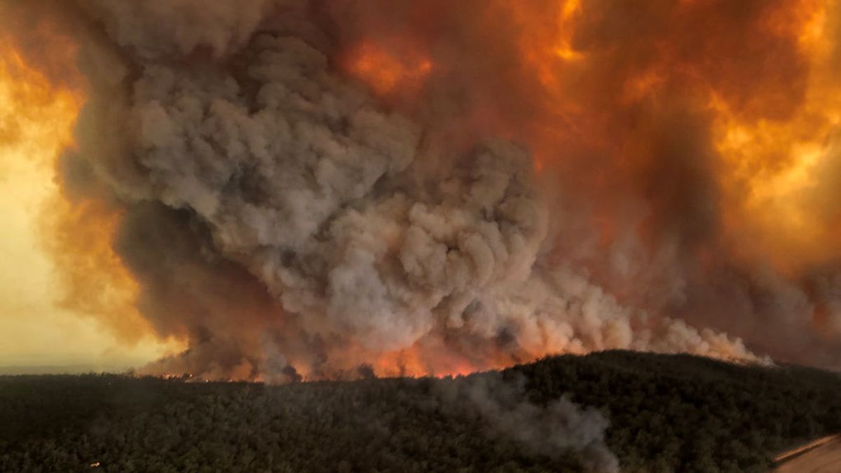 Declarado el estado de emergencia en Nueva Gales del Sur por los incendios en este estado australiano