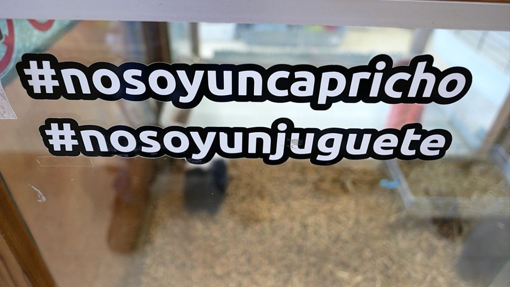 Campaña conta la consideración de las mascotas como juguetes