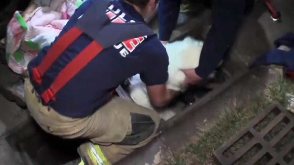 Rescatan a un perro atrapado en un desagüe 15 metros bajo tierra