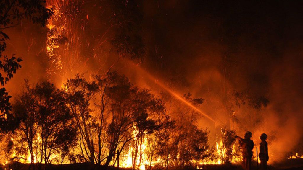 Ascienden a 22 los muertos en los incendios de Australia