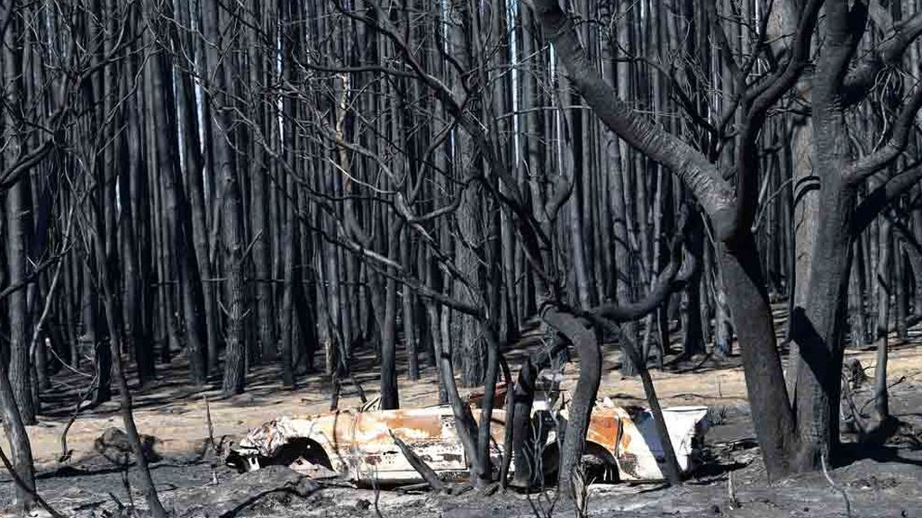 Vista de Isla Canguro tras los incendios Vista de Isla Canguro tras los incendios