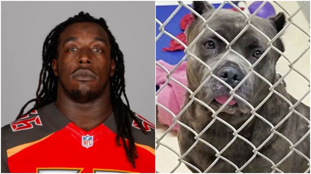 Un jugador de la NFL abandona a su perra tras enterarse que iba a ser padre: "Ya no eres necesaria" Un jugador de la NFL abandona a su perra tras enterarse que iba a ser padre: "Ya no eres necesaria"