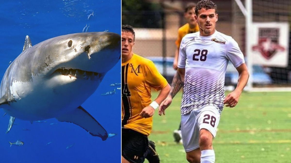 Un futbolista de 21 años aparece muerto devorado por tiburones en Australia