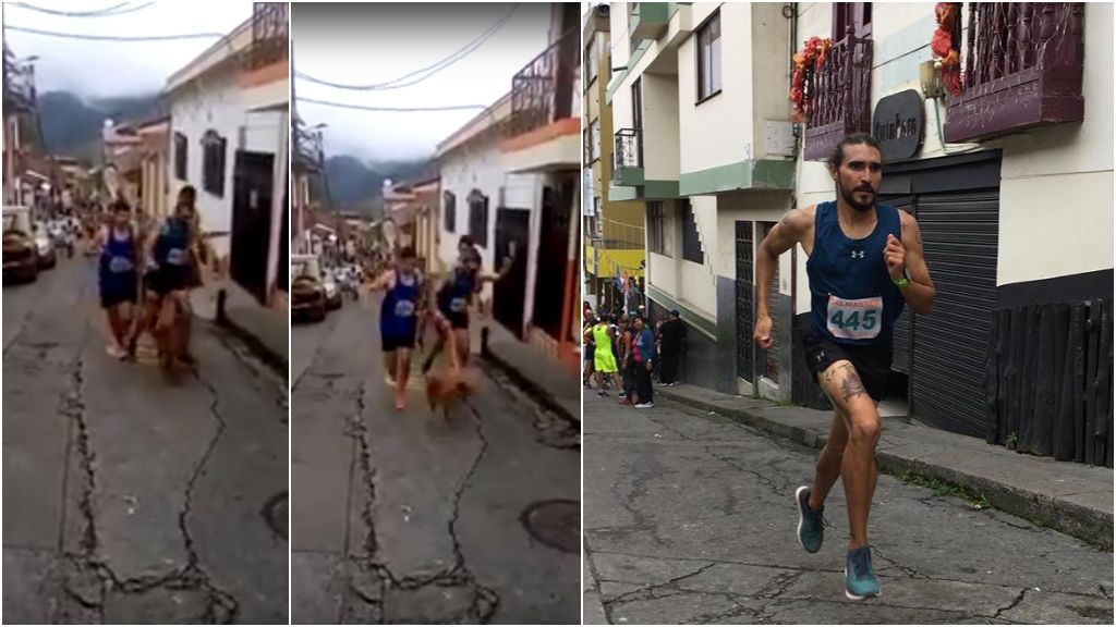 Despiden a un atleta por pegar una patada a un perro durante una carrera: "Fue un momento de euforia" Despiden a un atleta por pegar una patada a un perro durante una carrera: "Fue un momento de euforia"