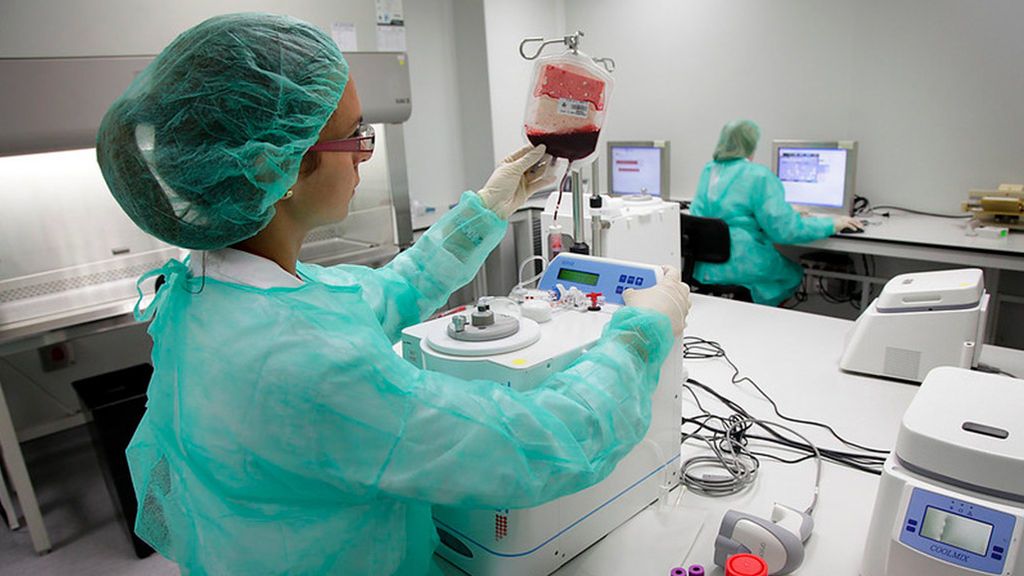 Se necesita donaciones de sangre de manera urgente en Madrid y Barcelona Se necesita donaciones de sangre de manera urgente en Madrid y Barcelona