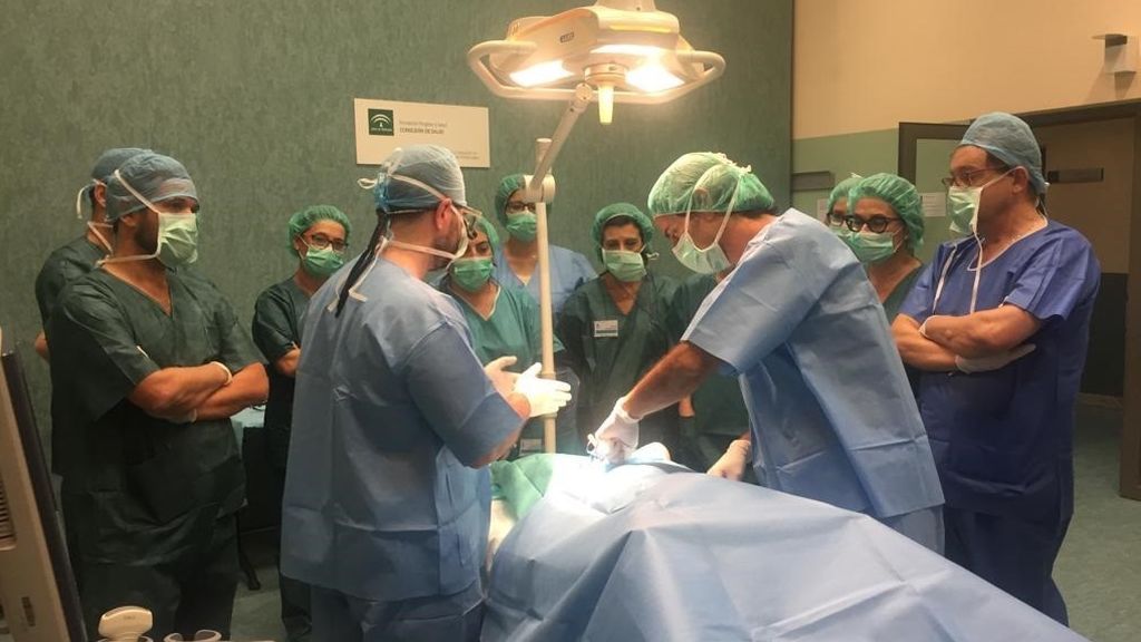 Dos mil donantes para cinco mil trasplantes: nuevo récord de solidaridad de España Dos mil donantes para cinco mil trasplantes: nuevo récord de solidaridad de España