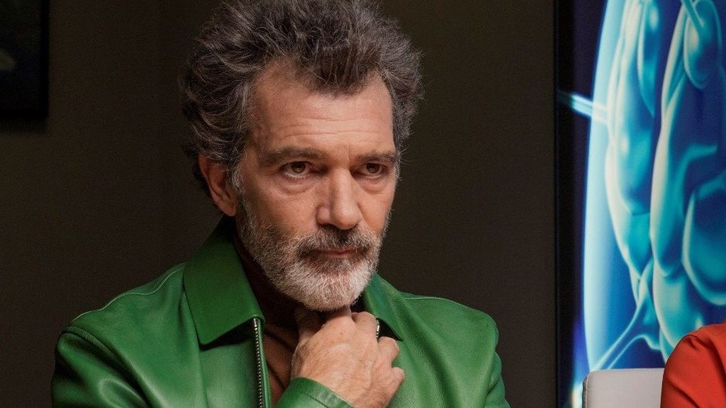 'Dolor y gloria', Antonio Banderas y 'Klaus' representarán a España en los Oscar 2020 'Dolor y gloria', Antonio Banderas y 'Klaus' representarán a España en los Oscar 2020