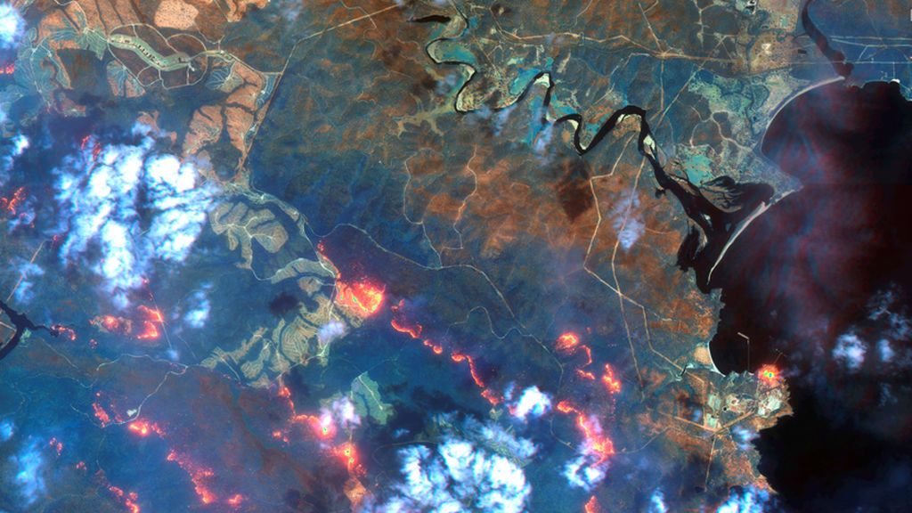 Los incendios en Australia arrasan con más de 10 millones de hectáreas