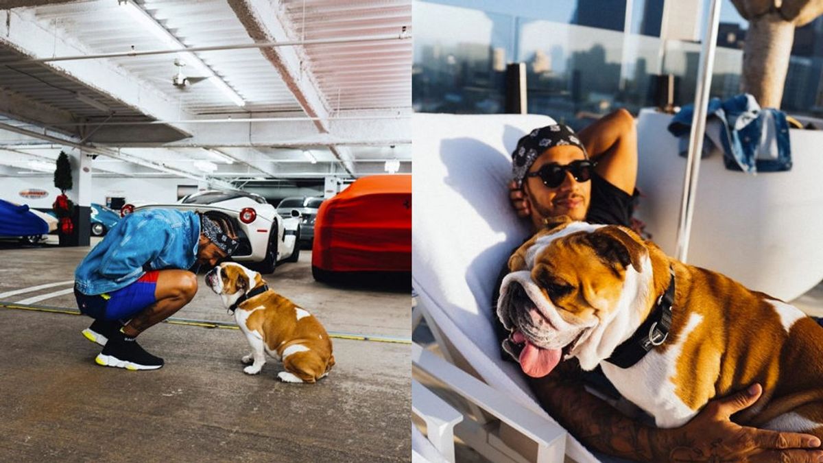 El talento oculto del perro de Lewis Hamilton: "Roscoe canta cuando siente la emoción"