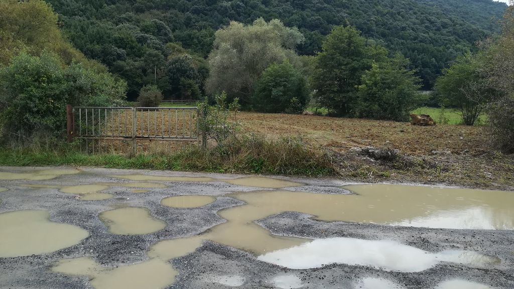 Plumeral en Noja despúes de la actuación.