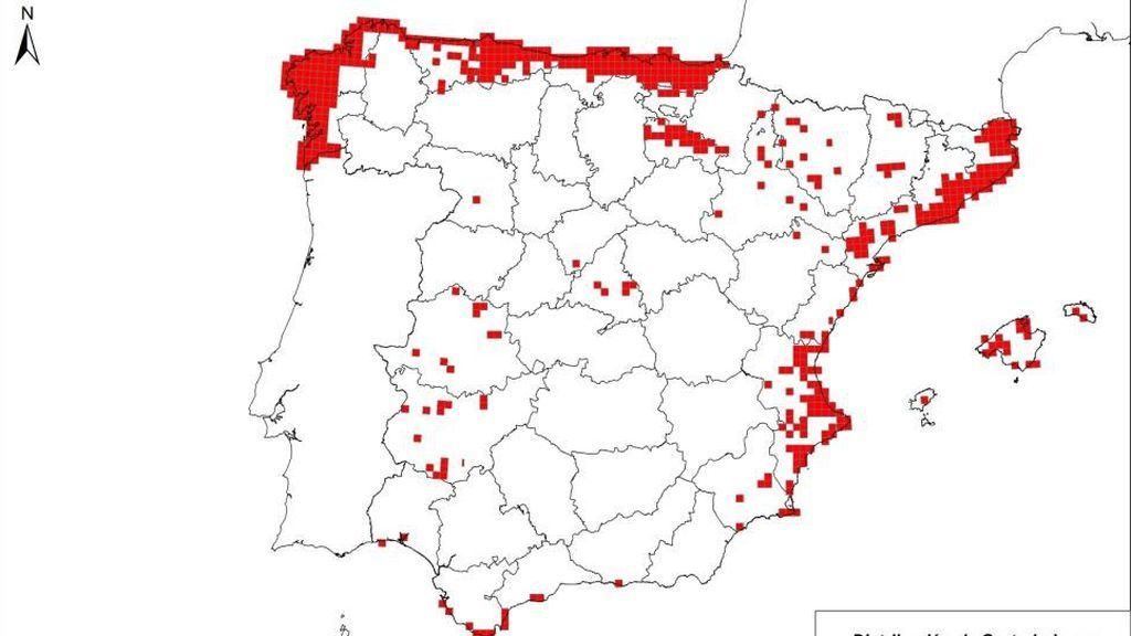 mapa del Plumero de Pampa en España