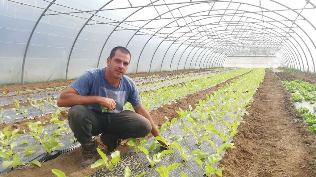 Agricultor de Arteixo que cultiva lechugas para Inditex