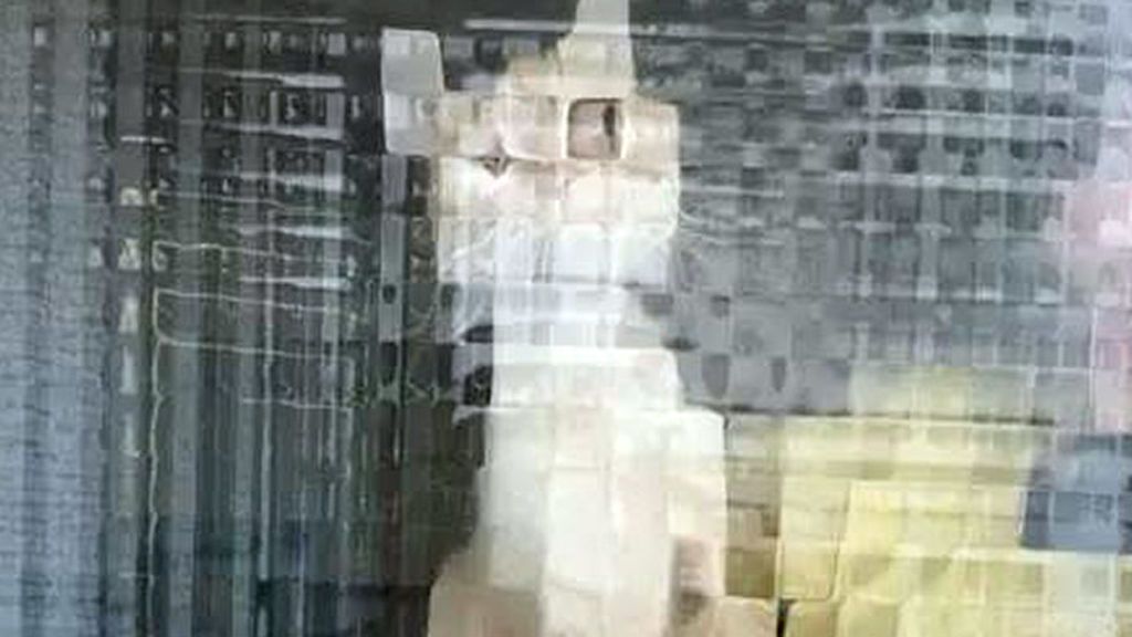 Las tiernas imágenes de gatos 'en baja resolución'